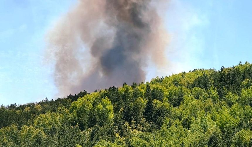 Bir ateş binlerce canı yakabilir! Bakanlıktan kritik uyarı