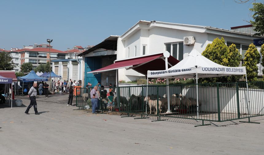 Başkan Kurt’a kurban kesim hizmetleri için teşekkür yağdı