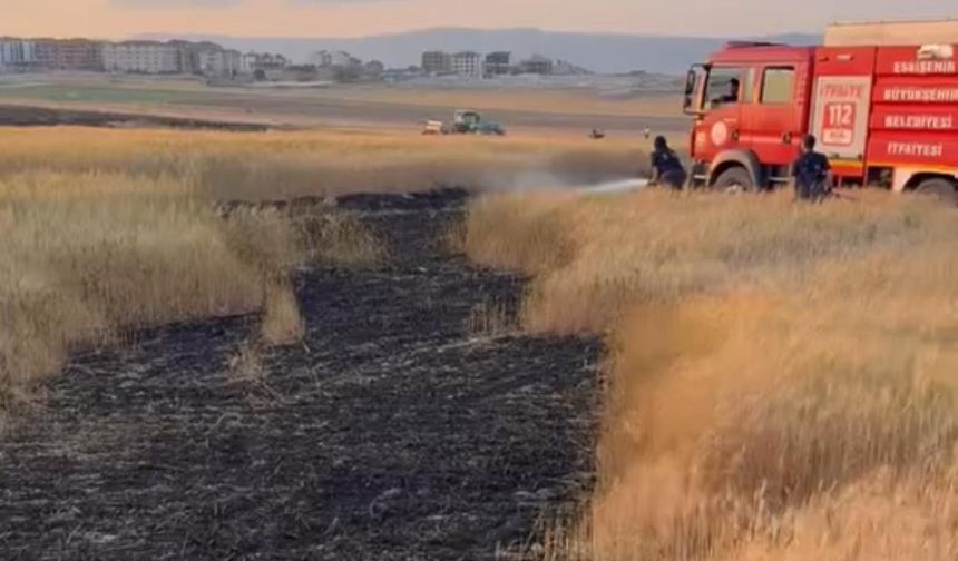 Eskişehir'de korkutan yangın: 200 dönüm alanda ekinler alev aldı