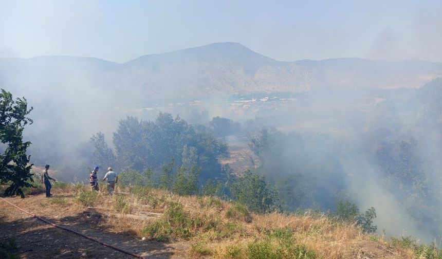 Eskişehir’de ormanlık alanda yangın: Yerleşim yerleri tehlike altında
