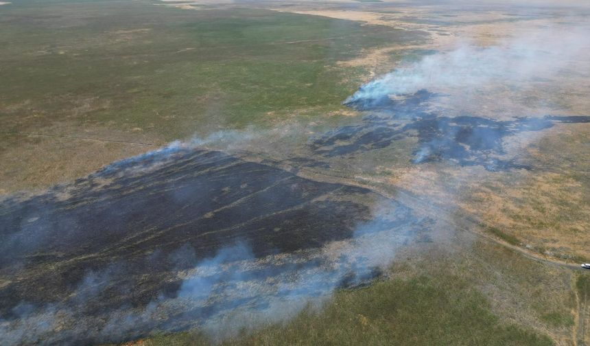 Eskişehir'in komşusunda yangın! Dumanlar yükseldi