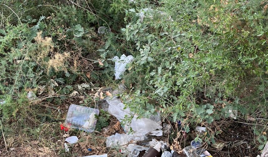 Eskişehir'e yakın bölgedeki o yer çöplüğe döndü