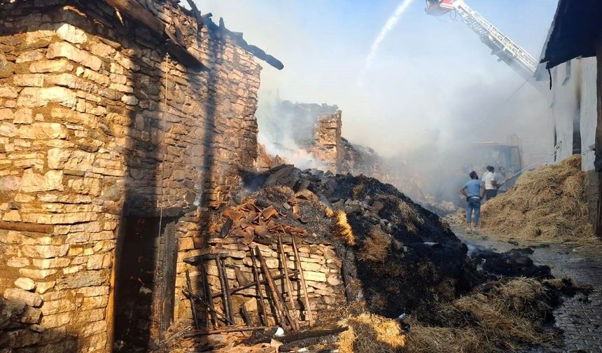 Komşuda köyde çıkan yangında 4 ev hasar gördü