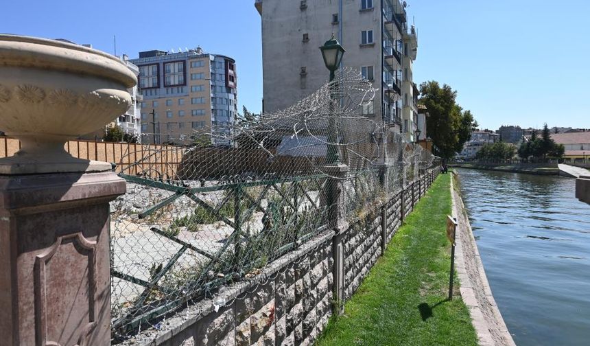 Porsuk çayı kenarında tehlike çanları çalıyor: Canlılar zarar görüyor