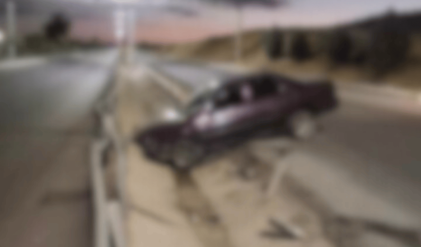 Eskişehir'de şaşkınlık yaratan olay: Halüsinasyon zannettiler!