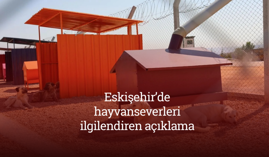 Eskişehir'de hayvanseverleri ilgilendiren açıklama