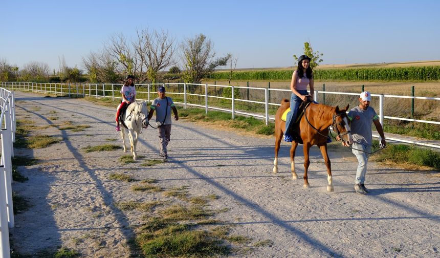 Eskişehir'deki at binme tesisi haftanın 7 günü hizmet veriyor