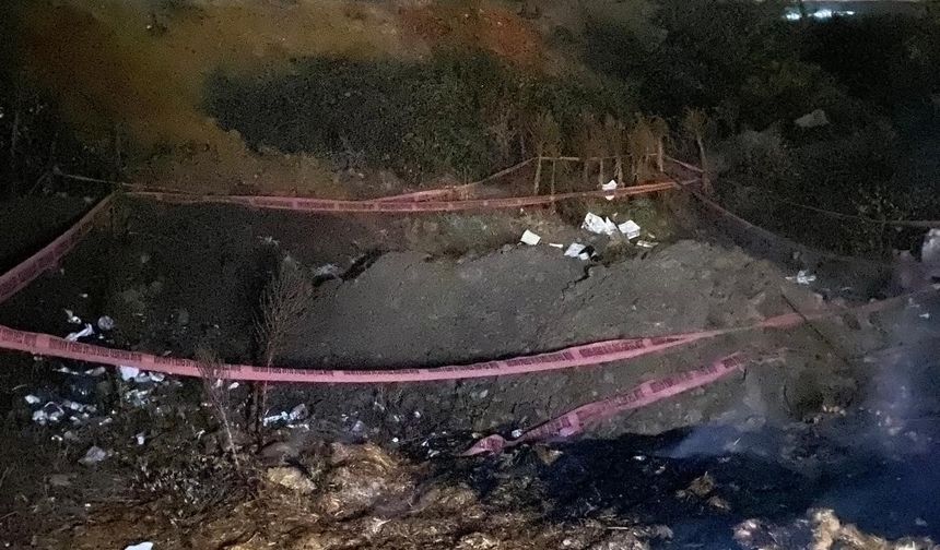 Bilecik'te orman yangını: Ekipler kısa sürede müdahale etti
