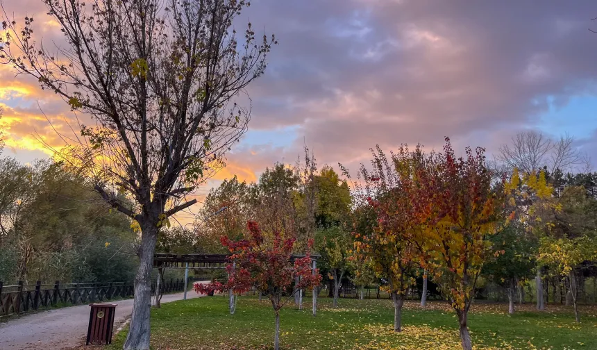 Eskişehir'den karpostallık görüntüler! Görenler mest oldu