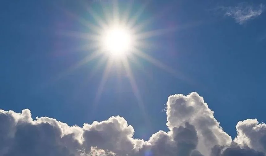 Mevsimler karıştı! Eskişehirliler endişe duyuyor