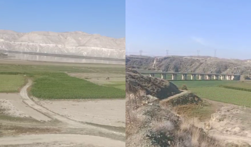 Sarıyar Barajı'nda su seviyesi düştü: Çekilen alanlara köylüler ekin ekti