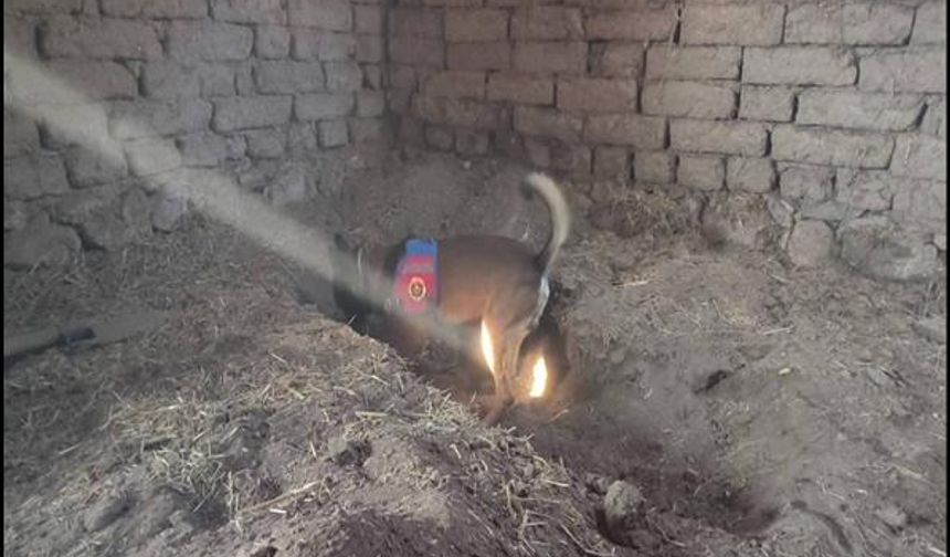 Eskişehir'de kan donduran cinayet: 14 yıldır kayıptı, cesedi böyle bulundu