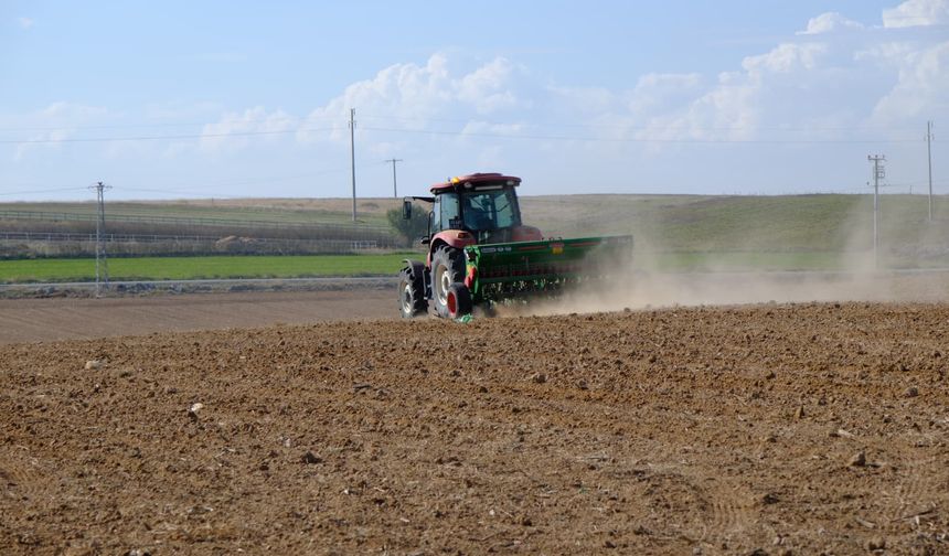 Mahmudiye Belediyesi'nden tarımda örnek proje