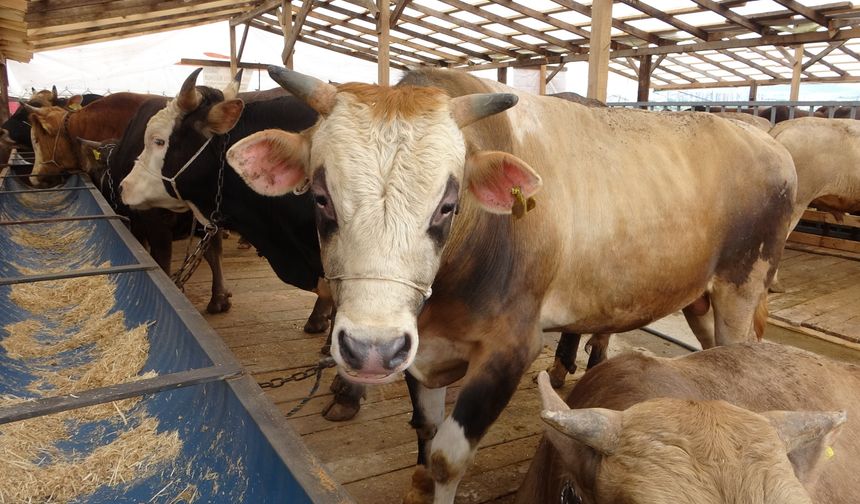 Korkutan vaka sonrası uyarı: Et tüketiminde bu hatayı yapmayın!