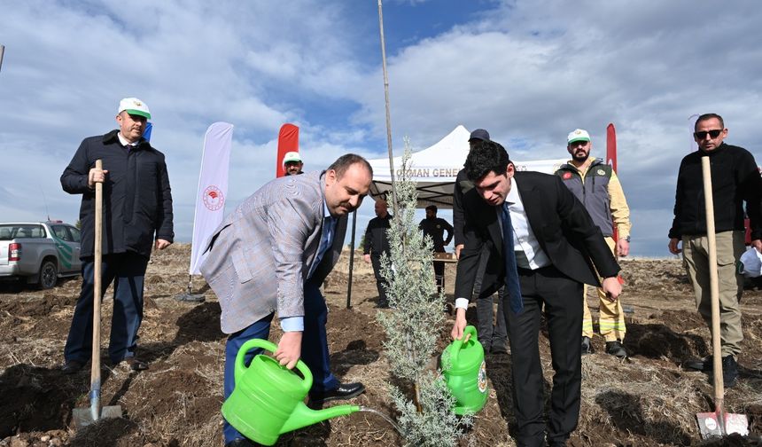 İnönü'de yüzlerce fidan toprakla buluştu