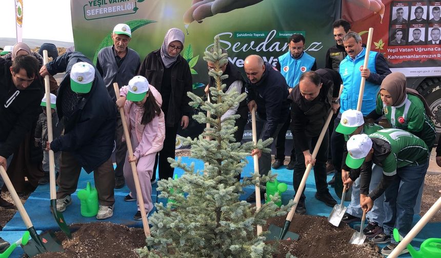 Seyitgazi'de orman şehidi için 15 bin fidan dikildi