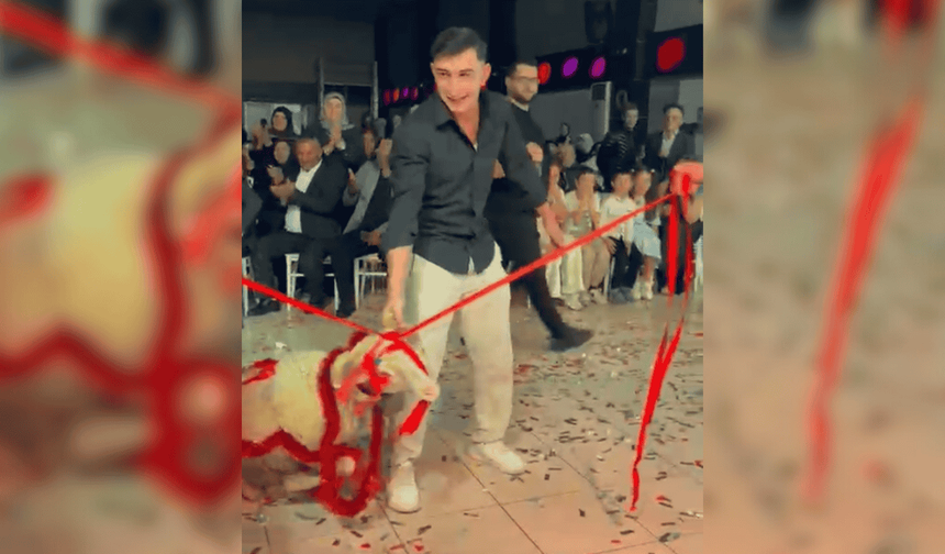 Davetliler şaştı kaldı! Böyle düğün hediyesi görülmedi