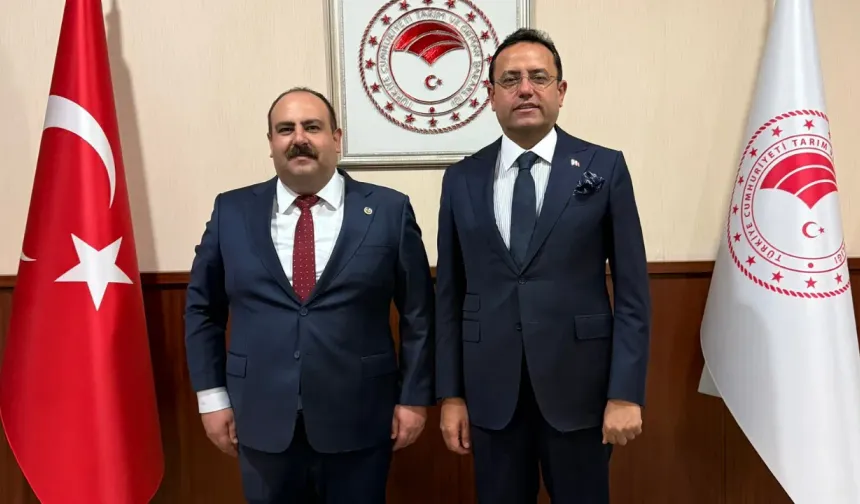 Başkan Hamamcı Tarım ve Orman Bakan Yardımcısı Ebubekir Gizligider ile bir araya geldi