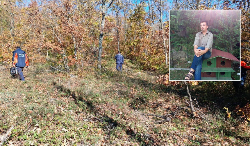Mantar toplamaya giden genç adam kayıplara karıştı