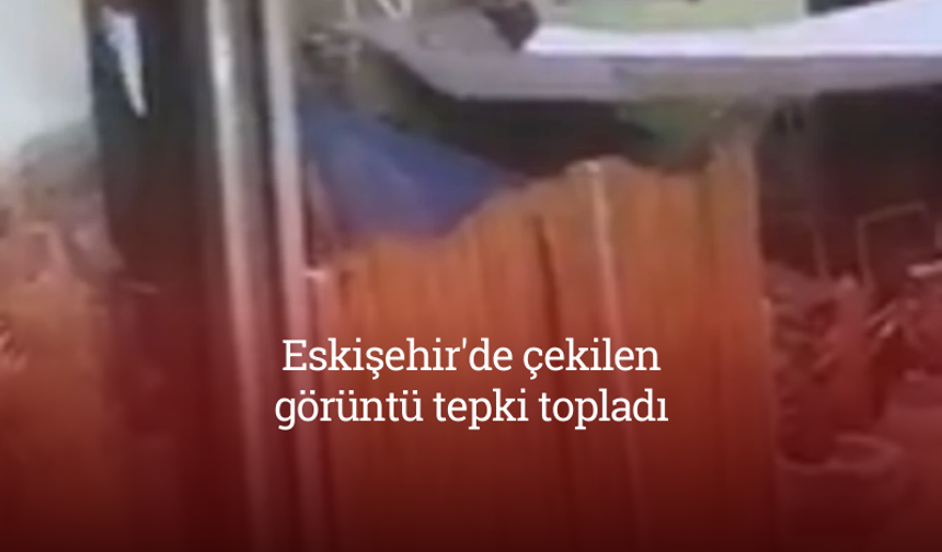 Eskişehir'de çekilen görüntü tepki topladı