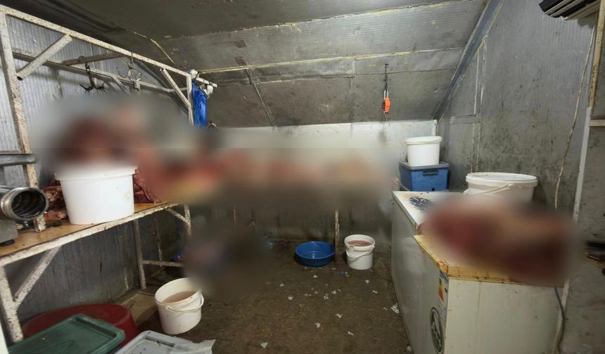 215 kilogram kaçak at eti ele geçirilmişti: Çifteler Belediyesi'nden açıklama