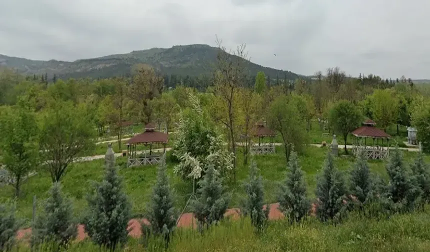 Eskişehir'de ormanlara giriş yasağı başlıyor! Ateşli piknik yapılabilecek yerler açıklandı
