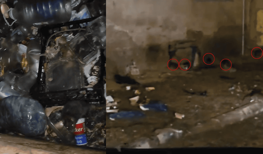 Eskişehir'de fareli sokakla ilgili gerçek ortaya çıktı! Vatandaşlar isyan etti