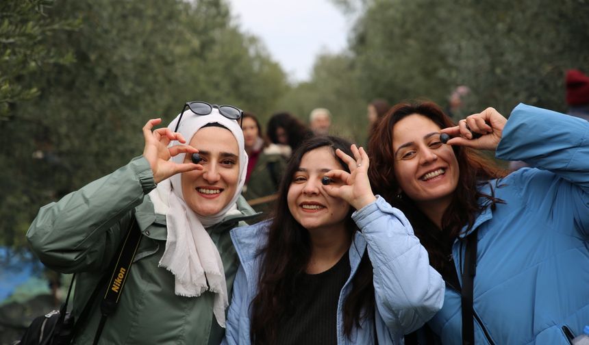 Gençler Sarıcakaya'da zeytin topladı