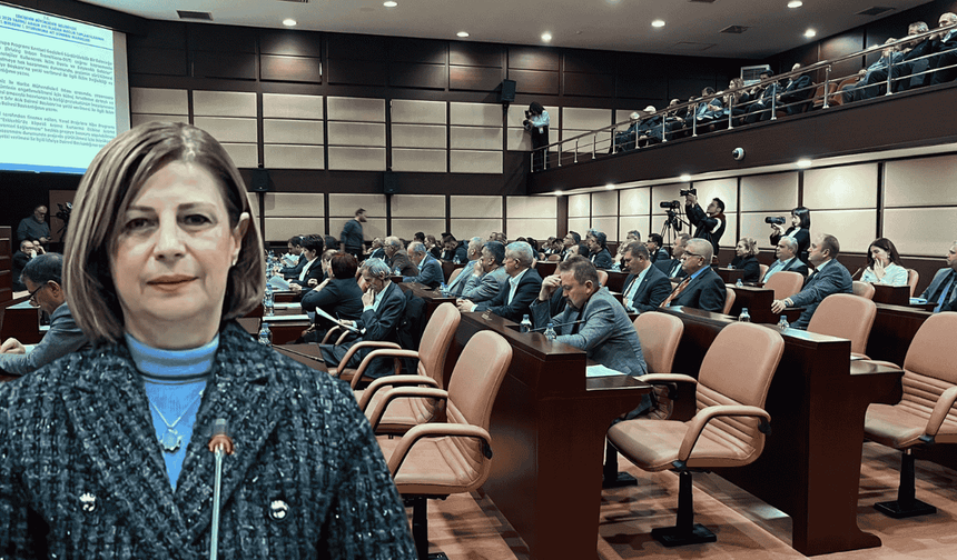 Büyükşehir’e sahipsiz hayvanlar için mama bağışı yetkisi: Meclisten oy birliğiyle geçti