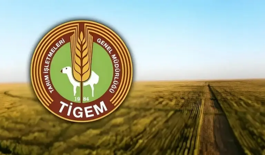 TİGEM Eskişehir'de işçi alımı yapacak: Başvuru şartları açıklandı