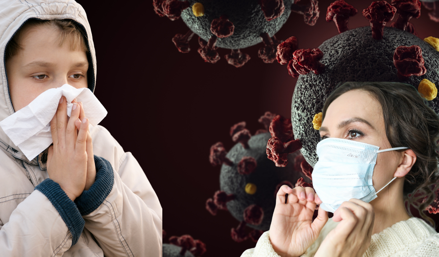 Domuz gribinde ateş 5 günden fazla sürebilir: Vakalarda atış devam ediyor