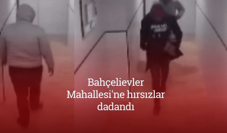 Bahçelievler Mahallesi'ne hırsızlar dadandı!