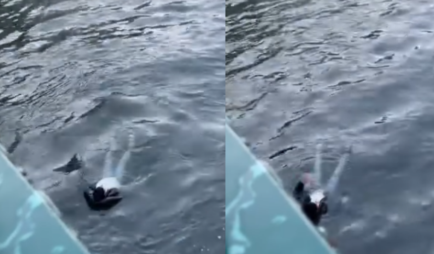 Eskişehir'de genç adam Porsuk Çayı'na atladı