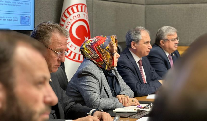 Eskişehir'deki elektrik kesintileri ve altyapı sorunları TBMM gündemine taşındı