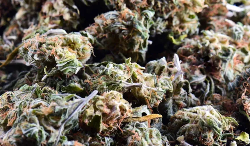 Eskişehir'de 1 kilodan fazla esrar, bonzai ve metamfetamin ele geçirildi