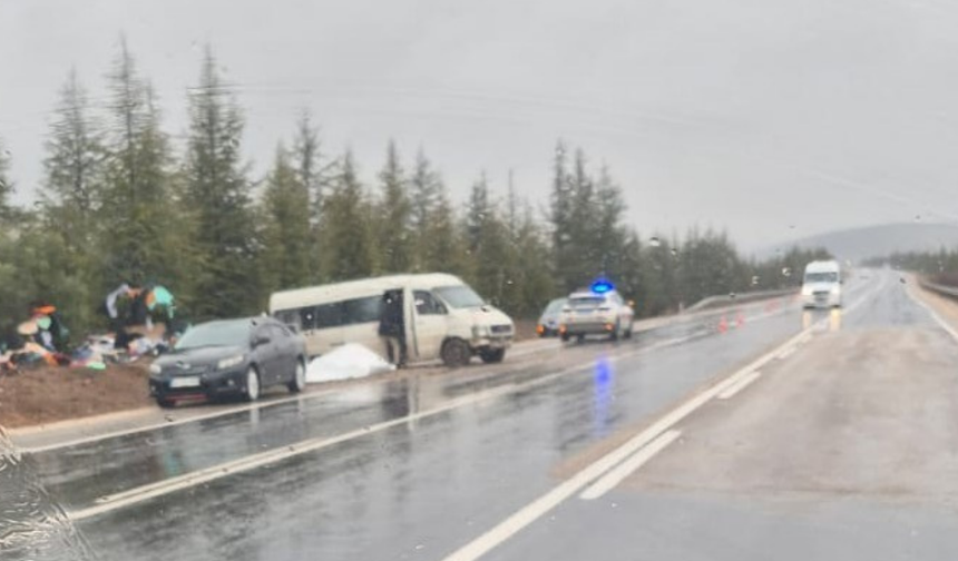 Eskişehir yolunda minibüs şarampole savruldu