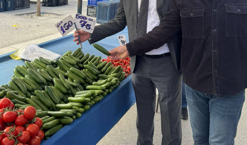 Eskişehir'de salatalık rekor kırdı: Kilosu 150 TL...