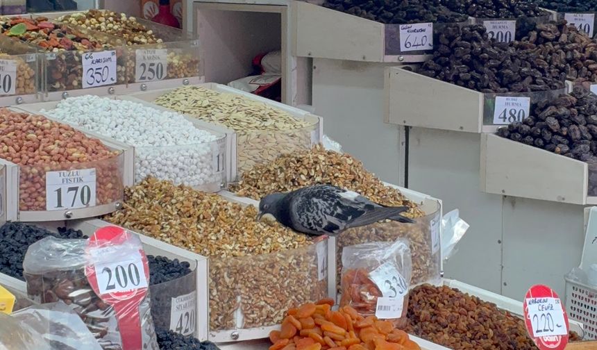 Hamamyolu'nda hijyen tartışması: Kuruyemişlerin üzerine kuşlar kondu