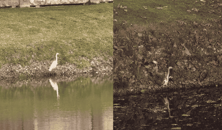 Porsuk'un müdavimi oldular