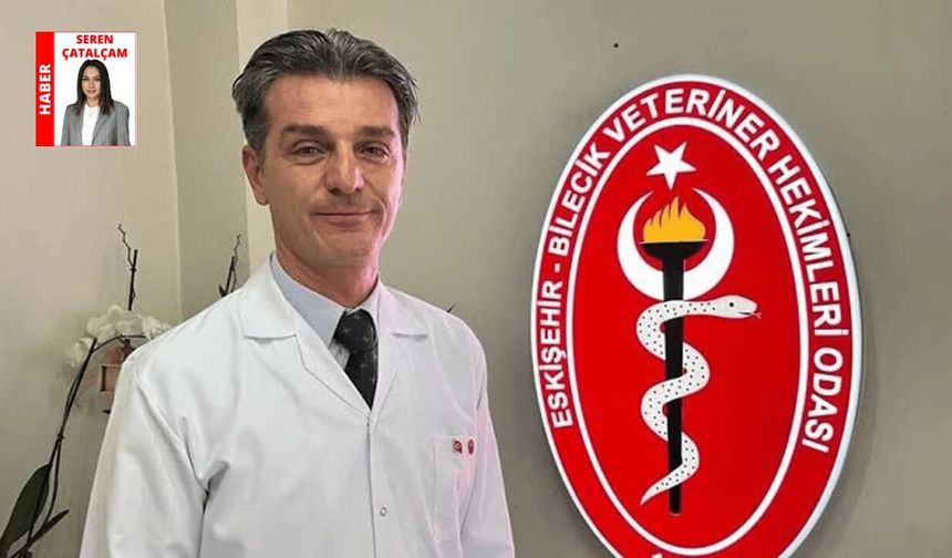 Yuva: “Gönüllülük esasıyla 400 köpeği kısırlaştırdık”