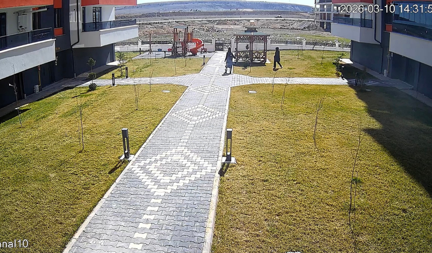 Eskişehir'de güvenlik kamerasına rağmen güpegündüz hırsızlık yaptı