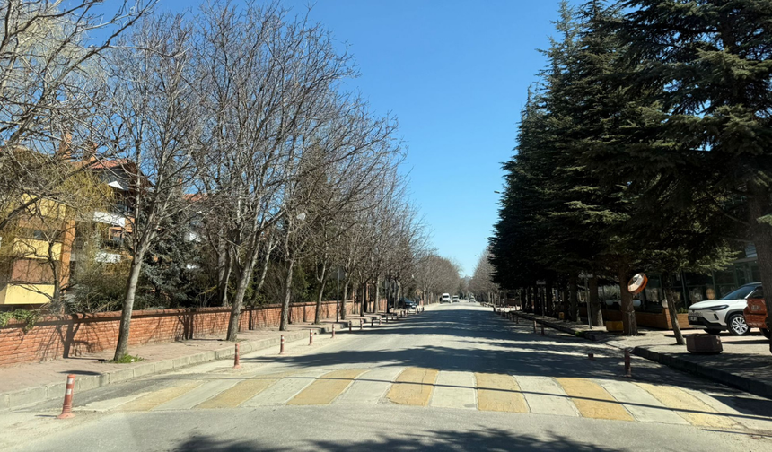 Eskişehir’de hız kesici kasislerin neden kalktığı belli oldu