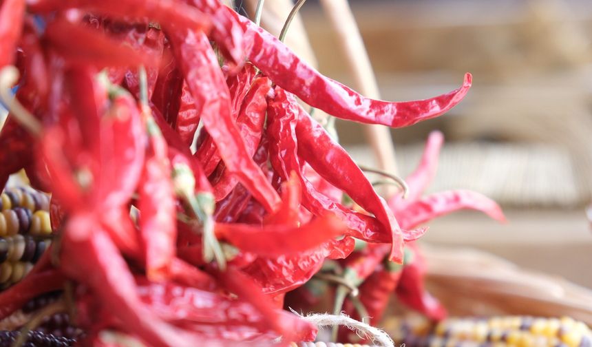 Eskişehir'de üretiliyor kargo ile Türkiye'nin dört bir yanına gönderiliyor