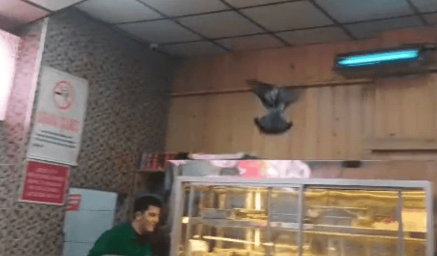 Eskişehir'de iftar vakti ortalığı karıştırdı: Güç bela dışarı çıkardılar