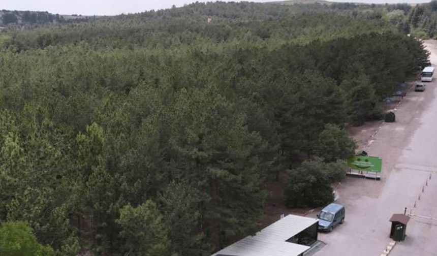 Eskişehir'de zehir tacirleri bu kez ormanda suçüstü yakalandı