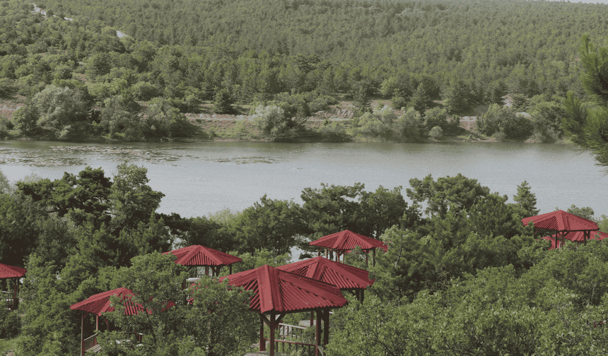 Bu alanlarda yasak yok: Eskişehir'in en uygun piknik yerleri