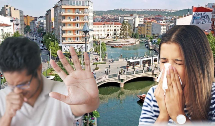Milyonlarca kişiyi etkiliyor: Eskişehir ve çevresi için en büyük alerjik tehdit belli oldu