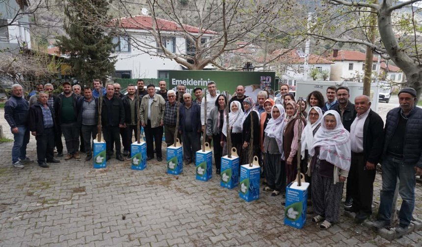 Eskişehir'in kırsalında üreticilere 600 dut fidanı dağıtıldı