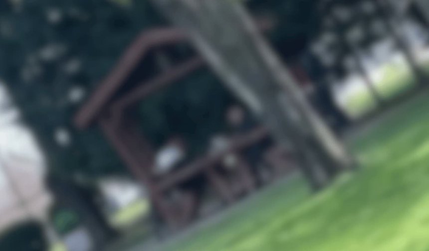 Eskişehir'de pes dedirten görüntüler: Saklanma ihtiyacı bile duymadılar