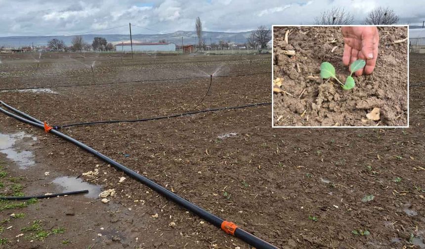 Eskişehir'de çiftçiler üretime başladı ama yüzler gülmüyor